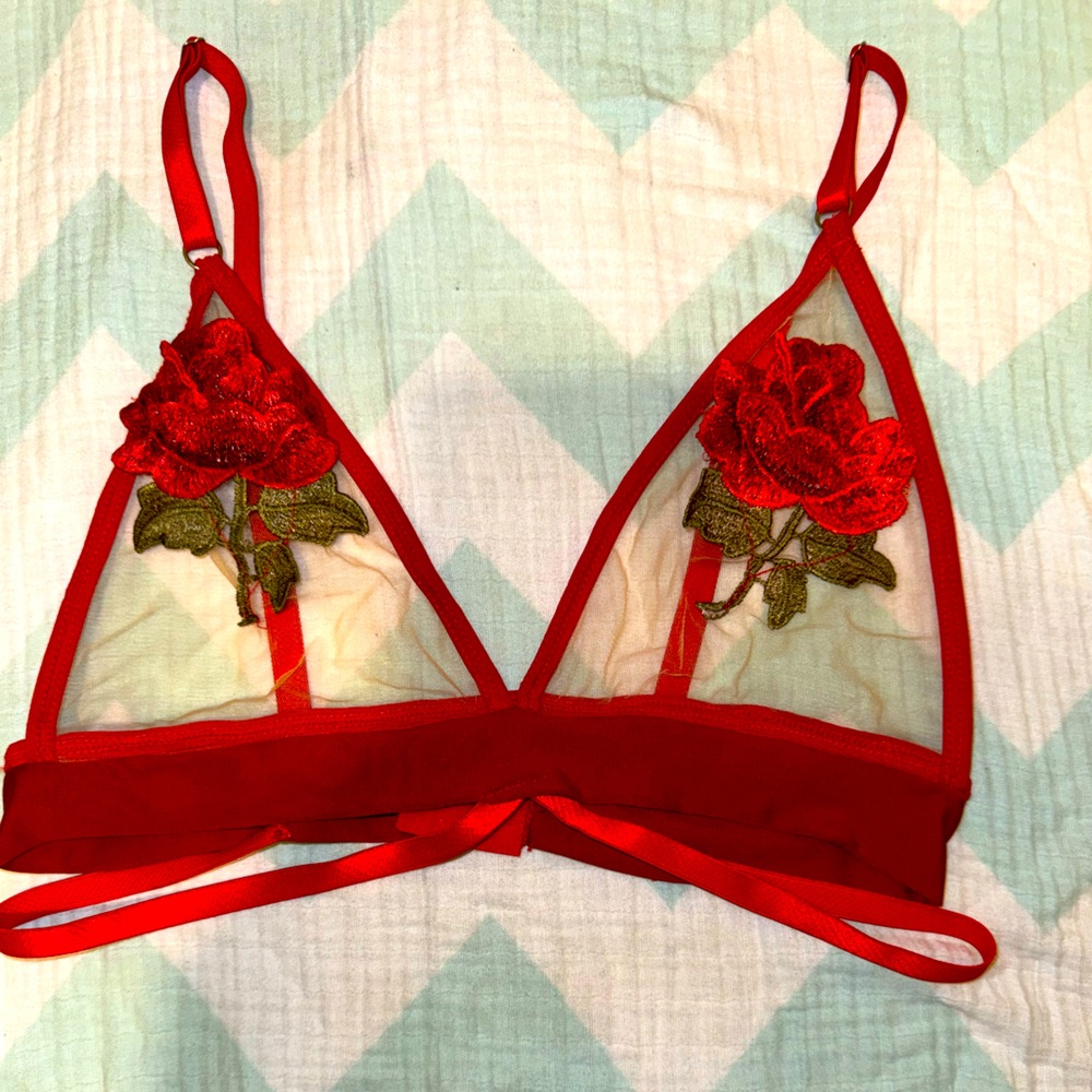 Rose translucent bra